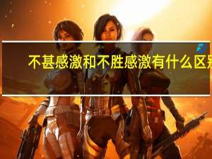 不甚感激和不胜感激有什么区别