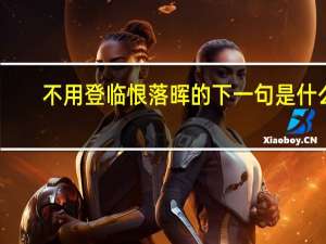 不用登临恨落晖的下一句是什么