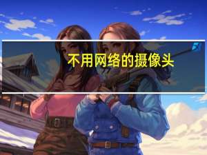 不用网络的摄像头