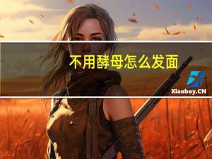 不用酵母怎么发面