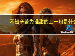 不知辛苦为谁甜的上一句是什么