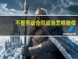 不签劳动合同应当怎样赔偿