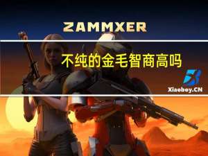不纯的金毛智商高吗