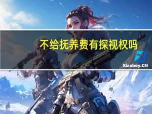 不给抚养费有探视权吗
