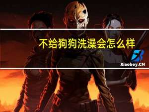 不给狗狗洗澡会怎么样