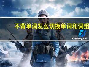 不背单词怎么切换单词和词组