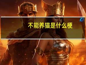 不能养猫是什么梗
