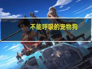 不能呼吸的宠物狗