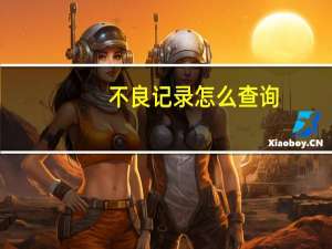 不良记录怎么查询