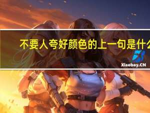 不要人夸好颜色的上一句是什么