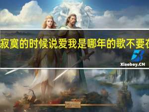 不要在我寂寞的时候说爱我是哪年的歌 不要在我寂寞的时候