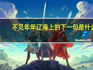 不见年年辽海上的下一句是什么