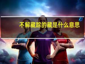 不解藏踪的藏是什么意思