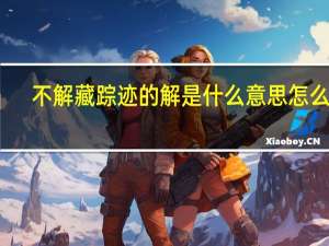 不解藏踪迹的解是什么意思怎么读（不解藏踪迹的解是什么意思）