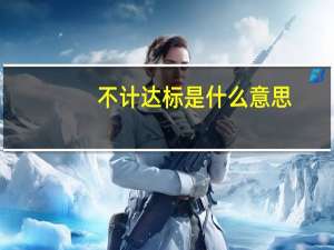 不计达标是什么意思