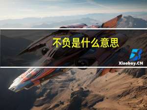 不负是什么意思