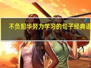 不负韶华努力学习的句子经典语录