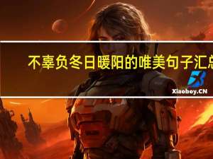 不辜负冬日暖阳的唯美句子汇总