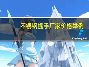 不锈钢提手厂家价格举例