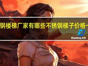 不锈钢楼梯厂家有哪些不锈钢梯子价格一般是多少