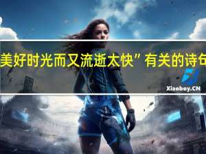 与“美好时光而又流逝太快”有关的诗句都有哪些