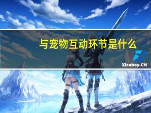 与宠物互动环节是什么