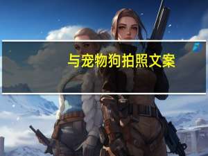 与宠物狗拍照文案