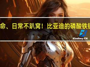 与整车同寿命、日常不趴窝！比亚迪的磷酸铁锂启动电池有多强