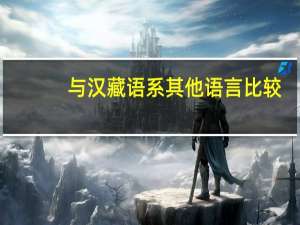 与汉藏语系其他语言比较，现代汉语有什么特点
