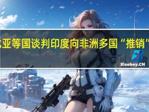 与纳米比亚等国谈判印度向非洲多国“推销”数字支付系统