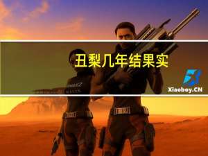 丑梨几年结果实
