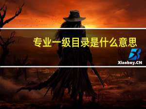 专业一级目录是什么意思