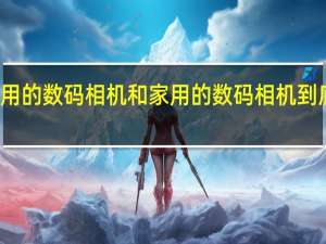 专业人士用的数码相机和家用的数码相机到底有些什么区别