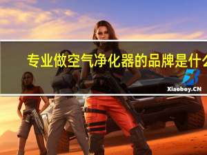 专业做空气净化器的品牌是什么（专业做空气净化器的品牌）