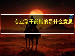 专业型干部指的是什么意思