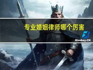 专业婚姻律师哪个厉害