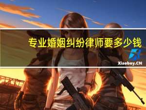 专业婚姻纠纷律师要多少钱
