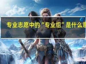 专业志愿中的“专业组”是什么意思