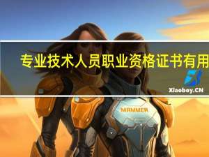 专业技术人员职业资格证书有用吗（专业技术人员职业资格证书）