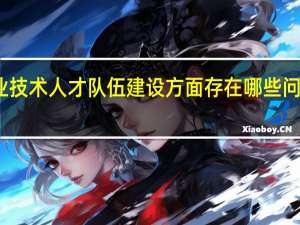 专业技术人才队伍建设方面存在哪些问题和困难