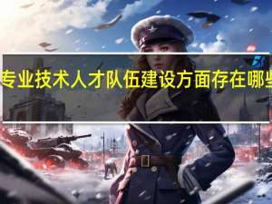 专业技术人才队伍建设方面存在哪些问题