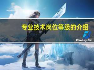 专业技术岗位等级的介绍