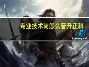 专业技术岗怎么晋升正科
