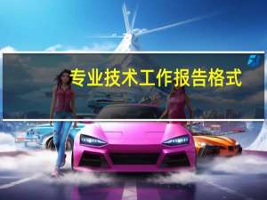 专业技术工作报告格式（专业技术工作报告）