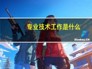 专业技术工作是什么