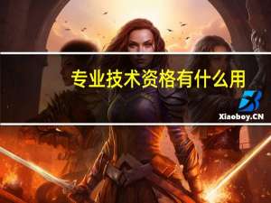 专业技术资格有什么用