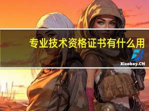专业技术资格证书有什么用