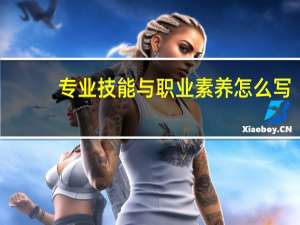专业技能与职业素养怎么写