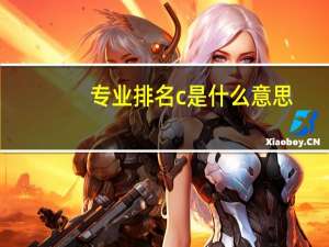 专业排名c 是什么 意思