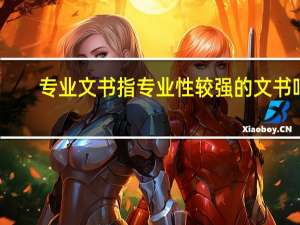 专业文书指专业性较强的文书吗